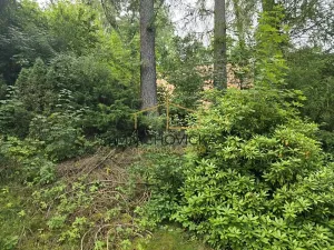 Prodej chaty, Mnichovice, 60 m2