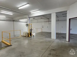 Pronájem obchodního prostoru, Sokolov, Trocnovská, 876 m2