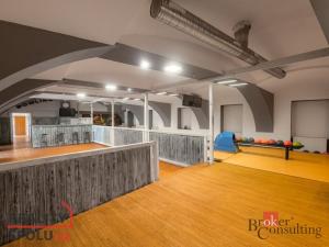 Prodej obchodního prostoru, Stod, U Elektrárny, 372 m2