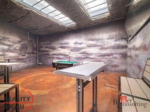 Prodej obchodního prostoru, Stod, U Elektrárny, 372 m2