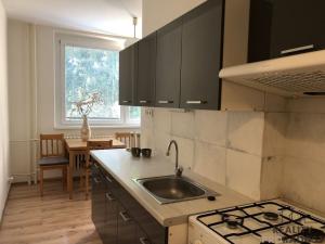 Pronájem bytu 2+1, Hodonín, Brandlova, 65 m2