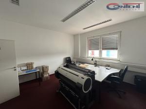 Pronájem skladu, Nupaky, Komerční, 2473 m2