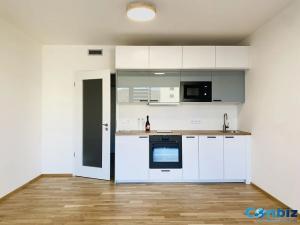Pronájem bytu 1+kk, Praha - Modřany, Mezi vodami, 32 m2