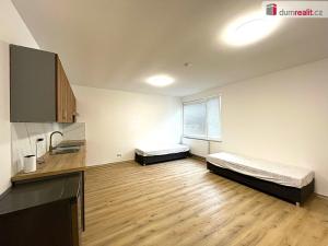 Pronájem bytu 1+1, Habartov, 1. máje, 30 m2