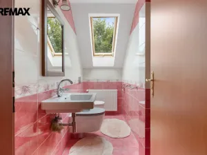 Prodej zemědělské usedlosti, Nová Role - Mezirolí, 900 m2