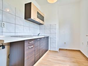 Prodej bytu 1+1, Vrbno pod Pradědem, Nové doby, 35 m2