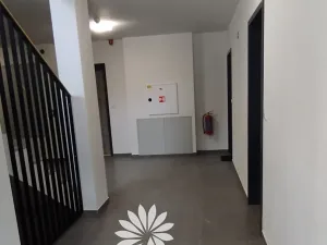 Prodej bytu 1+kk, Havlíčkův Brod, Stromovka, 28 m2