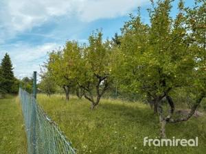 Prodej zahrady, Luleč, 782 m2