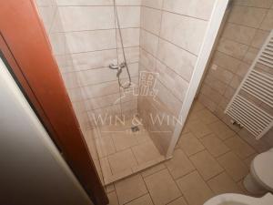 Pronájem bytu 2+kk, Potěhy, 49 m2