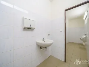 Prodej výrobních prostor, Krásno, Kladenská, 4900 m2