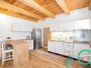 Prodej vícegeneračního domu, Rožmberk nad Vltavou, 302 m2