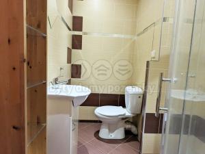 Pronájem bytu 1+1, Ostrava - Výškovice, Výškovická, 39 m2