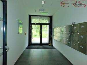 Pronájem bytu 2+kk, Liberec, Vítězná, 55 m2