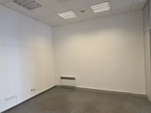 Pronájem obchodního prostoru, Hodonín, Národní třída, 110 m2