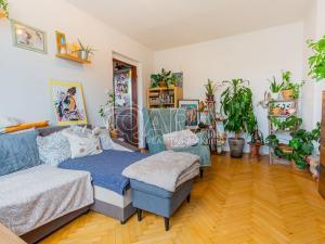 Prodej bytu 2+1, Písek - Budějovické Předměstí, Budějovická, 51 m2