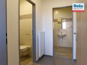Pronájem bytu 3+kk, Liberec, Americká, 47 m2