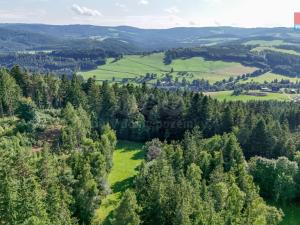 Prodej lesa, Petrovice u Sušice - Maršovice, 15707 m2