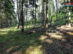 Prodej lesa, Petrovice u Sušice - Maršovice, 15707 m2