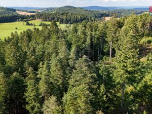 Prodej lesa, Petrovice u Sušice - Maršovice, 15707 m2