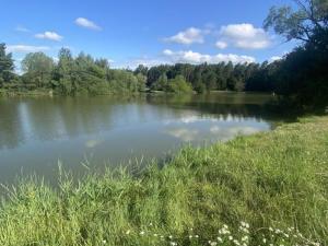 Prodej pozemku pro bydlení, Vysoké Chvojno, 566 m2