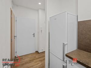 Pronájem bytu 1+kk, Praha - Nusle, Na dolinách, 28 m2