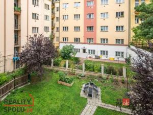 Pronájem bytu 1+kk, Praha - Nusle, Na dolinách, 28 m2