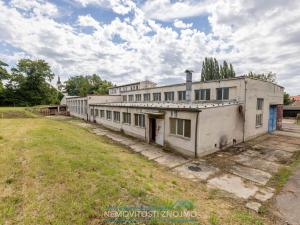 Pronájem výrobních prostor, Hrušovany nad Jevišovkou, Rudé armády, 12000 m2