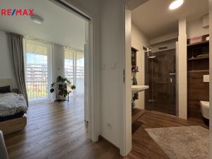 Pronájem bytu 1+kk, Olomouc, Camilla Sitteho, 27 m2
