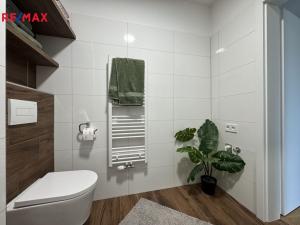 Pronájem bytu 1+kk, Olomouc, Camilla Sitteho, 27 m2
