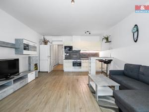Prodej bytu 1+kk, Plzeň - Severní Předměstí, alej Svobody, 45 m2