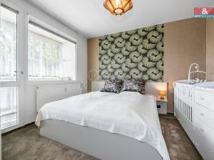 Prodej bytu 3+1, Plzeň - Severní Předměstí, alej Svobody, 70 m2