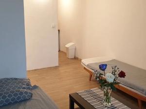 Pronájem bytu 1+kk, Teplice, Petra Jilemnického, 30 m2