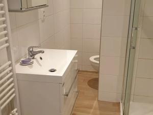 Pronájem bytu 1+kk, Teplice, Petra Jilemnického, 30 m2