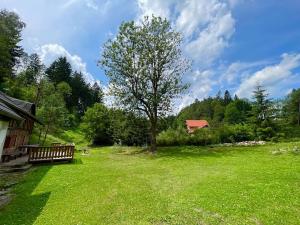 Prodej chalupy, Všelibice, 190 m2