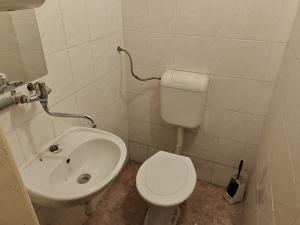 Pronájem obchodního prostoru, Brno - Veveří, Kotlářská, 25 m2