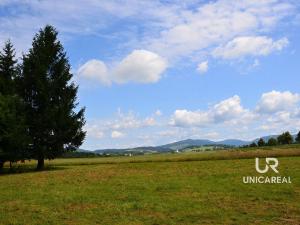 Prodej rodinného domu, Červená Voda - Dolní Orlice, 202 m2