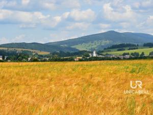 Prodej rodinného domu, Červená Voda - Dolní Orlice, 202 m2