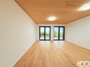 Pronájem bytu 1+kk, Praha, Nekonečného, 42 m2