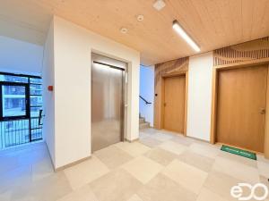 Pronájem bytu 1+kk, Praha, Nekonečného, 42 m2