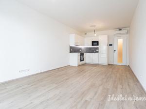 Pronájem bytu 1+kk, Praha - Žižkov, Malešická, 45 m2