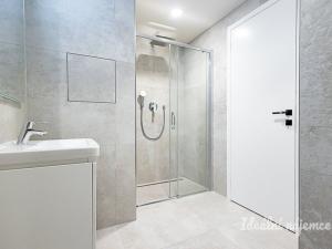 Pronájem bytu 1+kk, Praha - Žižkov, Malešická, 45 m2