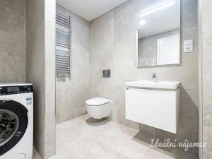 Pronájem bytu 1+kk, Praha - Žižkov, Malešická, 45 m2