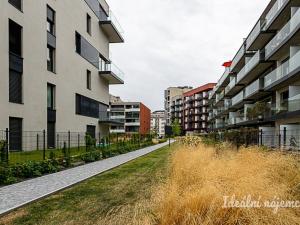 Pronájem bytu 1+kk, Praha - Žižkov, Malešická, 45 m2
