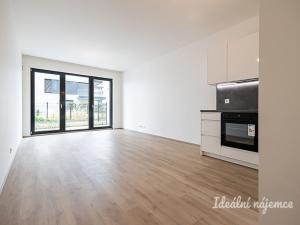 Pronájem bytu 1+kk, Praha - Žižkov, Malešická, 45 m2