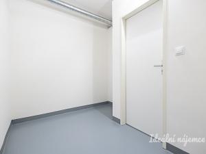 Pronájem bytu 1+kk, Praha - Žižkov, Malešická, 45 m2