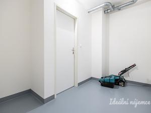 Pronájem bytu 1+kk, Praha - Žižkov, Malešická, 45 m2
