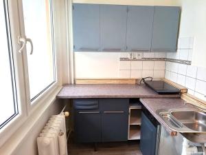 Pronájem bytu 1+kk, Hradec Králové, Třebechovická, 35 m2