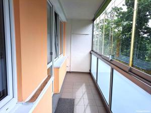 Pronájem bytu 1+kk, Hradec Králové, Třebechovická, 35 m2