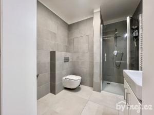 Pronájem bytu 1+kk, Brno - Staré Brno, Hybešova, 38 m2