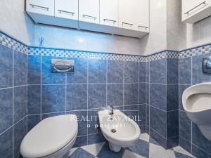Prodej rodinného domu, Chvaletice, Budovatelů, 350 m2